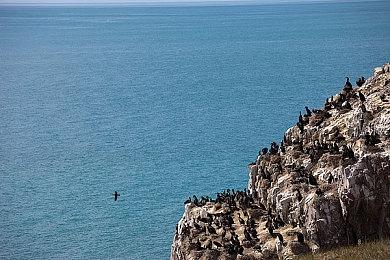 虚幻引擎5自制 开放世界《毒液》概念宣传片欣赏